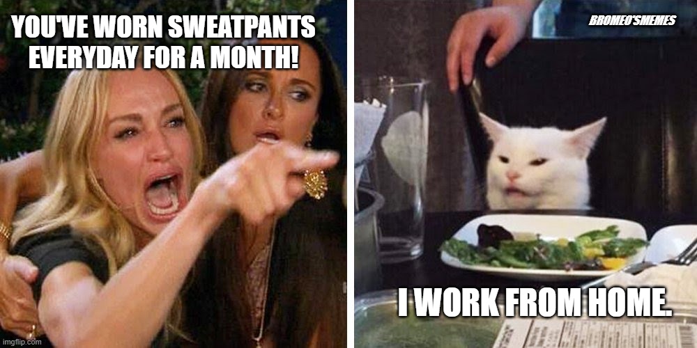 Smudge the cat | BROMEO'SMEMES; YOU'VE WORN SWEATPANTS EVERYDAY FOR A MONTH! I WORK FROM HOME. | image tagged in smudge the cat | made w/ Imgflip meme maker