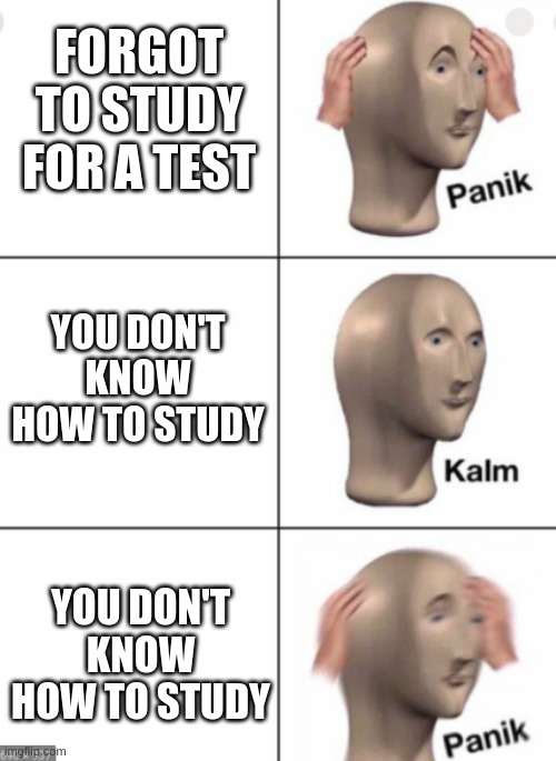 panik kalm panik |  FORGOT TO STUDY FOR A TEST; YOU DON'T KNOW HOW TO STUDY; YOU DON'T KNOW HOW TO STUDY | image tagged in funny | made w/ Imgflip meme maker
