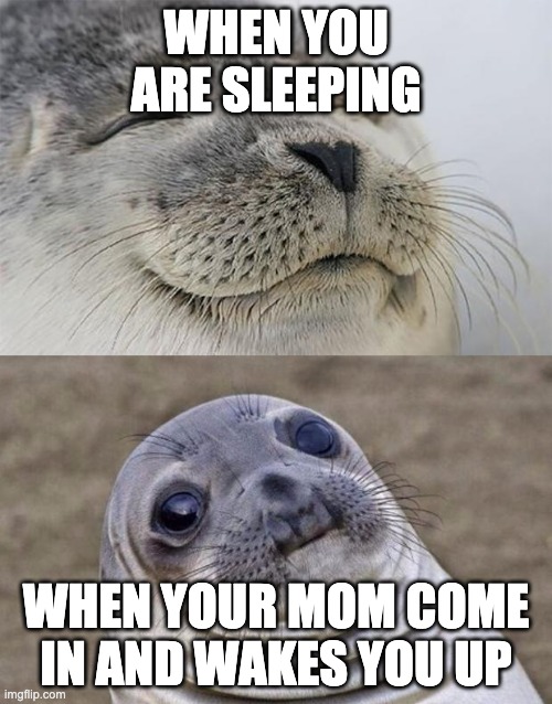 Short Satisfaction VS Truth | WHEN YOU ARE SLEEPING; WHEN YOUR MOM COME IN AND WAKES YOU UP | image tagged in memes,short satisfaction vs truth | made w/ Imgflip meme maker