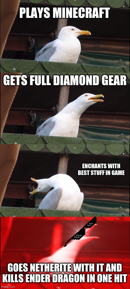 Inhaling Seagull | PLAYS MINECRAFT; GETS FULL DIAMOND GEAR; ENCHANTS WITH BEST STUFF IN GAME; GOES NETHERITE WITH IT AND KILLS ENDER DRAGON IN ONE HIT | image tagged in memes,inhaling seagull | made w/ Imgflip meme maker