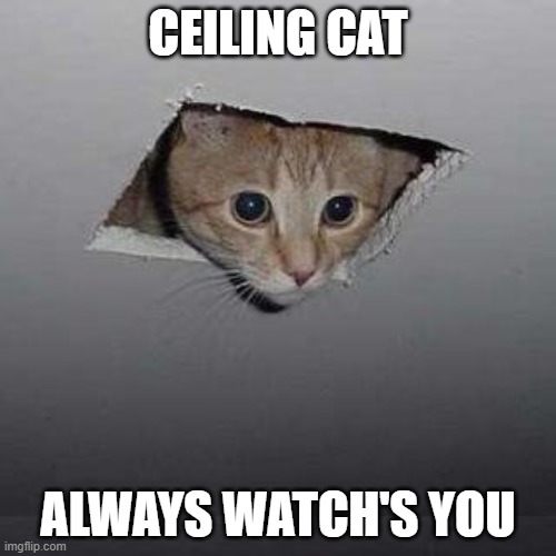 Ceiling Cat | CEILING CAT; ALWAYS WATCH'S YOU | image tagged in memes,ceiling cat | made w/ Imgflip meme maker