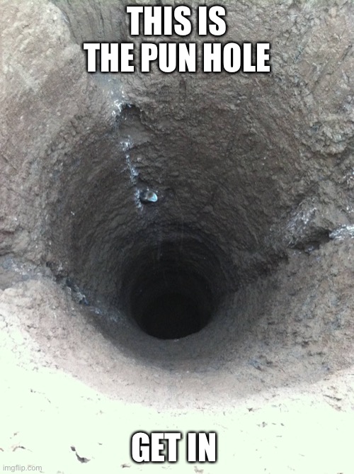 THIS IS THE PUN HOLE GET IN | made w/ Imgflip meme maker