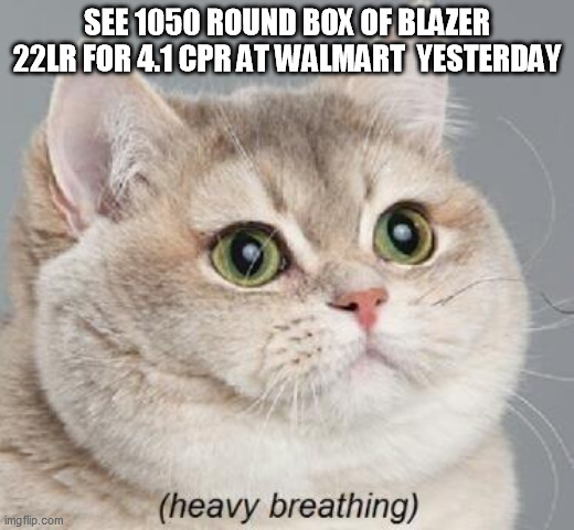 Heavy Breathing Cat Meme | SEE 1050 ROUND BOX OF BLAZER 22LR FOR 4.1 CPR AT WALMART  YESTERDAY | image tagged in memes,heavy breathing cat,Firearms | made w/ Imgflip meme maker