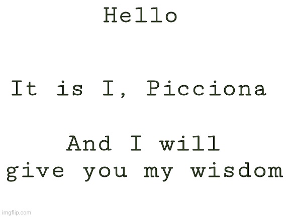 Hello | Hello; It is I, Picciona; And I will give you my wisdom | image tagged in blank white template | made w/ Imgflip meme maker