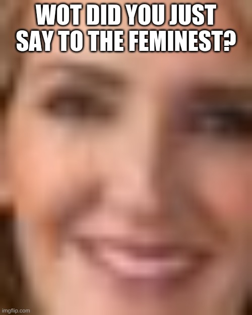 WOT DID YOU JUST SAY TO THE FEMINEST? | made w/ Imgflip meme maker