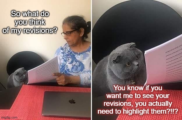 Woman showing paper to cat | So what do you think of my revisions? You know if you want me to see your revisions, you actually need to highlight them?!!? | image tagged in woman showing paper to cat | made w/ Imgflip meme maker