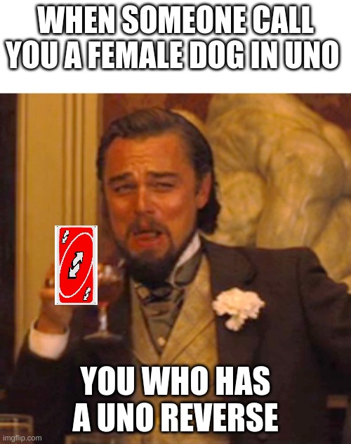 Ask to play UNO | WHEN SOMEONE CALL YOU A FEMALE DOG IN UNO; YOU WHO HAS A UNO REVERSE | image tagged in leonardo dicaprio django laugh | made w/ Imgflip meme maker