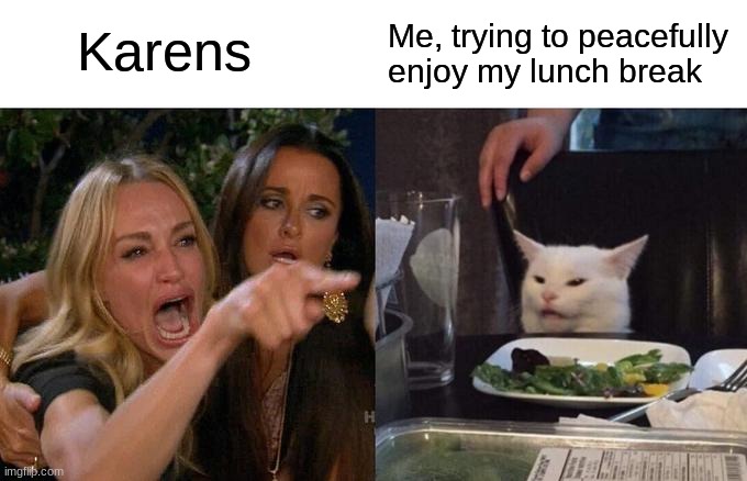 Karens are really annoying | Karens; Me, trying to peacefully enjoy my lunch break | image tagged in memes,woman yelling at cat,true | made w/ Imgflip meme maker