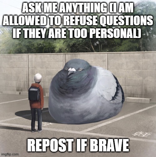 bringin the repost AMA trend back | ASK ME ANYTHING (I AM ALLOWED TO REFUSE QUESTIONS IF THEY ARE TOO PERSONAL); REPOST IF BRAVE | image tagged in question,answer,chubby,birb,memer,trends | made w/ Imgflip meme maker