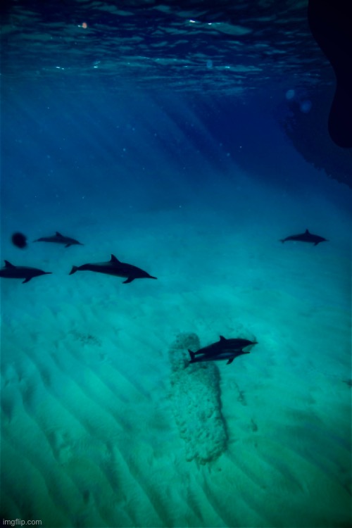 Waimānalo Beach in Oahu | image tagged in things were better then,once but never again | made w/ Imgflip meme maker