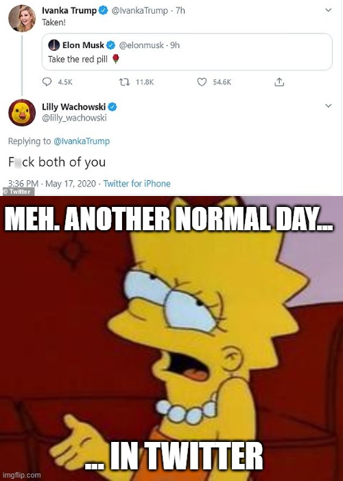 What can I say, except "meh" ? | MEH. ANOTHER NORMAL DAY... ... IN TWITTER | image tagged in meh,memes,elon musk,ivanka trump,twitter,red pill | made w/ Imgflip meme maker
