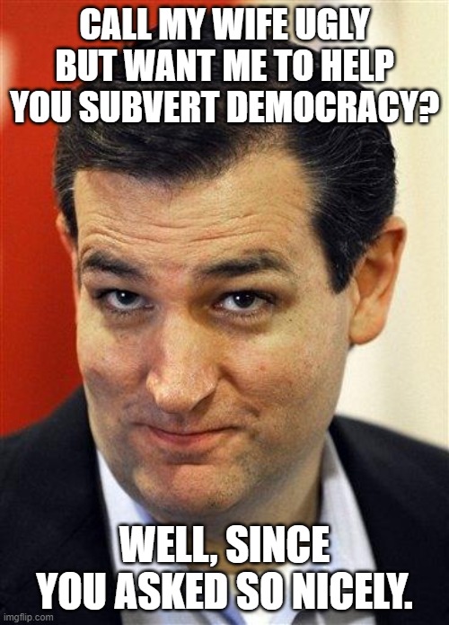 Bashful Ted Cruz | CALL MY WIFE UGLY BUT WANT ME TO HELP YOU SUBVERT DEMOCRACY? WELL, SINCE YOU ASKED SO NICELY. | image tagged in bashful ted cruz | made w/ Imgflip meme maker