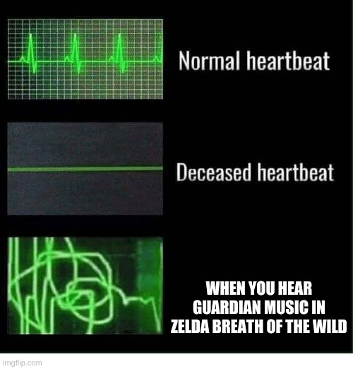 Zelda guardians | WHEN YOU HEAR GUARDIAN MUSIC IN ZELDA BREATH OF THE WILD | image tagged in normal heartbeat deceased heartbeat | made w/ Imgflip meme maker