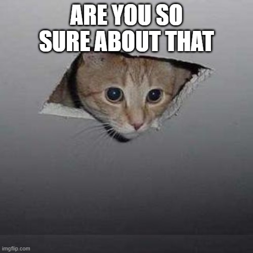 Ceiling Cat Meme | ARE YOU SO SURE ABOUT THAT | image tagged in memes,ceiling cat | made w/ Imgflip meme maker