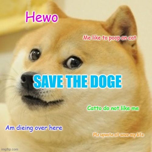 Doge | Hewo; Me like to poop on cat; SAVE THE DOGE; Catto do not like me; Am dieing over here; Plz upvote ot save my life | image tagged in memes,doge | made w/ Imgflip meme maker