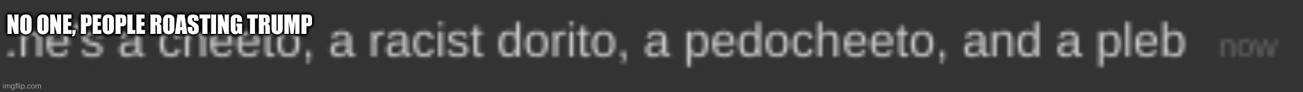 NO ONE, PEOPLE ROASTING TRUMP | made w/ Imgflip meme maker