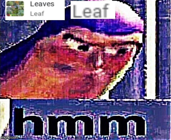so a leaf is a leaf? | image tagged in buzz lightyear hmm distorted and sharpened | made w/ Imgflip meme maker