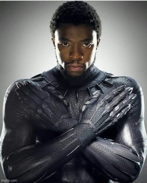 Chadwick Boseman | image tagged in chadwick boseman | made w/ Imgflip meme maker