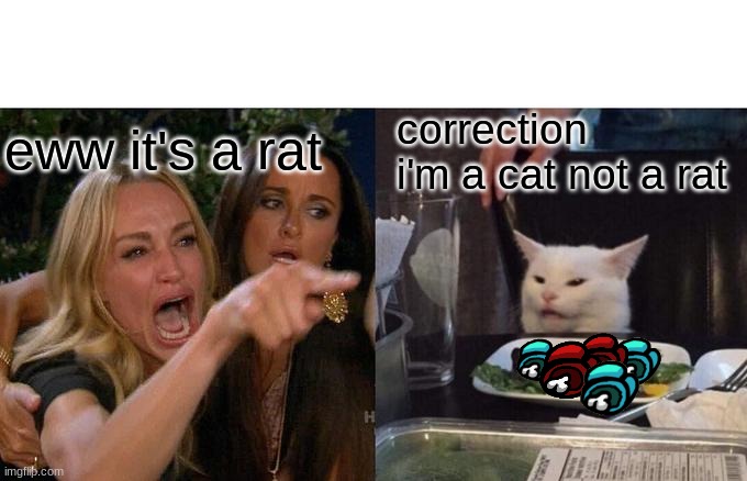 Woman Yelling At Cat Meme | eww it's a rat; correction i'm a cat not a rat | image tagged in memes,woman yelling at cat | made w/ Imgflip meme maker