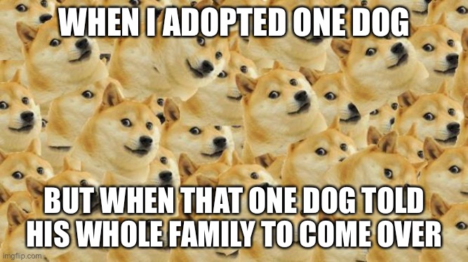 Multi Doge | WHEN I ADOPTED ONE DOG; BUT WHEN THAT ONE DOG TOLD HIS WHOLE FAMILY TO COME OVER | image tagged in memes,multi doge | made w/ Imgflip meme maker