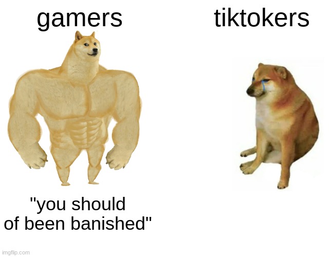 Buff Doge vs. Cheems Meme |  gamers; tiktokers; "you should of been banished" | image tagged in memes,buff doge vs cheems | made w/ Imgflip meme maker
