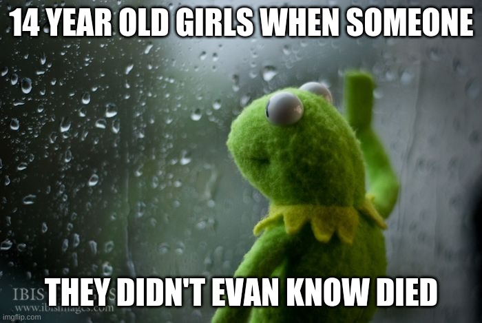 kermit window | 14 YEAR OLD GIRLS WHEN SOMEONE; THEY DIDN'T EVAN KNOW DIED | image tagged in kermit window | made w/ Imgflip meme maker