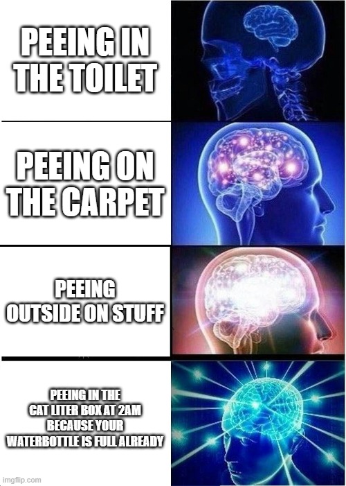 how big brains pee bruv | PEEING IN THE TOILET; PEEING ON THE CARPET; PEEING OUTSIDE ON STUFF; PEEING IN THE CAT LITER BOX AT 2AM BECAUSE YOUR WATERBOTTLE IS FULL ALREADY | image tagged in memes,expanding brain | made w/ Imgflip meme maker