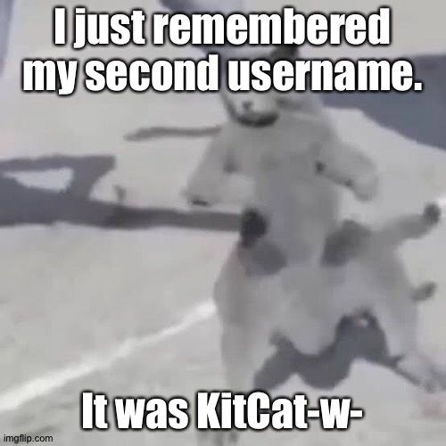 I know, no one asked. | I just remembered my second username. It was KitCat-w- | image tagged in cat nae nae | made w/ Imgflip meme maker