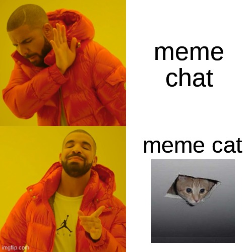 meme chat more like MEME CAT | meme chat; meme cat | image tagged in memes,drake hotline bling,meme cat | made w/ Imgflip meme maker