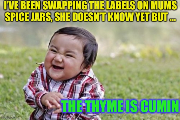 Ziga-zig-ahhh ! | I’VE BEEN SWAPPING THE LABELS ON MUMS SPICE JARS, SHE DOESN’T KNOW YET BUT ... THE THYME IS CUMIN | image tagged in evil toddler,spice,names,play on words | made w/ Imgflip meme maker