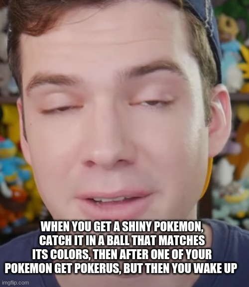 yes | WHEN YOU GET A SHINY POKEMON, CATCH IT IN A BALL THAT MATCHES ITS COLORS, THEN AFTER ONE OF YOUR POKEMON GET POKERUS, BUT THEN YOU WAKE UP | image tagged in pokemon | made w/ Imgflip meme maker