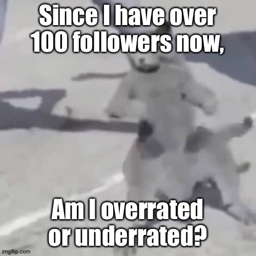 . | Since I have over 100 followers now, Am I overrated or underrated? | image tagged in cat nae nae | made w/ Imgflip meme maker