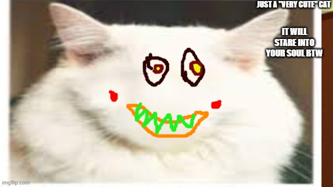 Cursed Image | JUST A "VERY CUTE" CAT; IT WILL STARE INTO YOUR SOUL BTW | image tagged in cursed image,cats | made w/ Imgflip meme maker