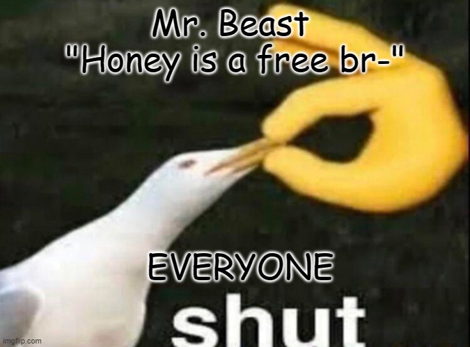 SHUT | Mr. Beast 
"Honey is a free br-"; EVERYONE | image tagged in shut | made w/ Imgflip meme maker