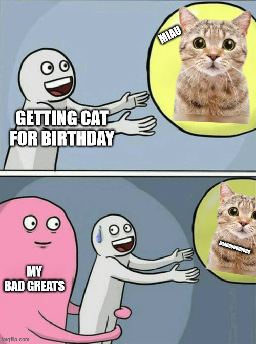 Running Away Balloon Meme | MIAU; GETTING CAT FOR BIRTHDAY; MIAUUUUUUUUUU; MY BAD GREATS | image tagged in memes,running away balloon | made w/ Imgflip meme maker