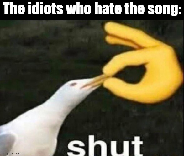 SHUT | The idiots who hate the song: | image tagged in shut | made w/ Imgflip meme maker