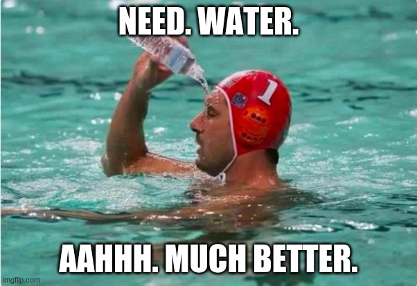 Waterbottle Swimmer | NEED. WATER. AAHHH. MUCH BETTER. | image tagged in waterbottle swimmer | made w/ Imgflip meme maker