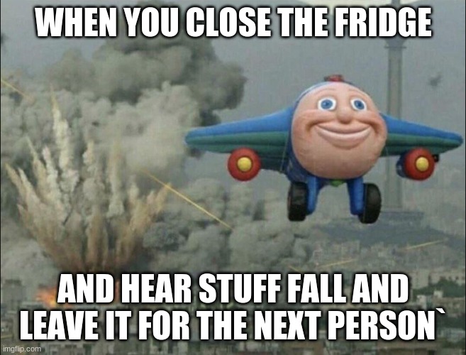 if this is copied i will take it down | WHEN YOU CLOSE THE FRIDGE; AND HEAR STUFF FALL AND LEAVE IT FOR THE NEXT PERSON` | image tagged in smiling airplane | made w/ Imgflip meme maker