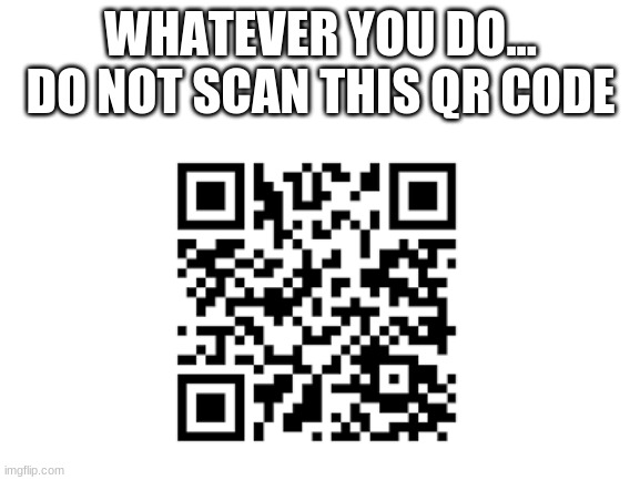 WHATEVER YOU DO... DO NOT SCAN THIS QR CODE | image tagged in mystery,oof size large,goofy,do not question the elevated one | made w/ Imgflip meme maker
