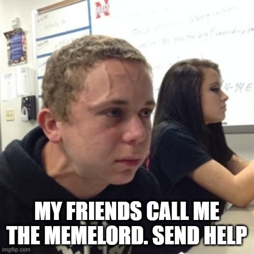 Vein forehead guy | MY FRIENDS CALL ME THE MEMELORD. SEND HELP | image tagged in vein forehead guy | made w/ Imgflip meme maker