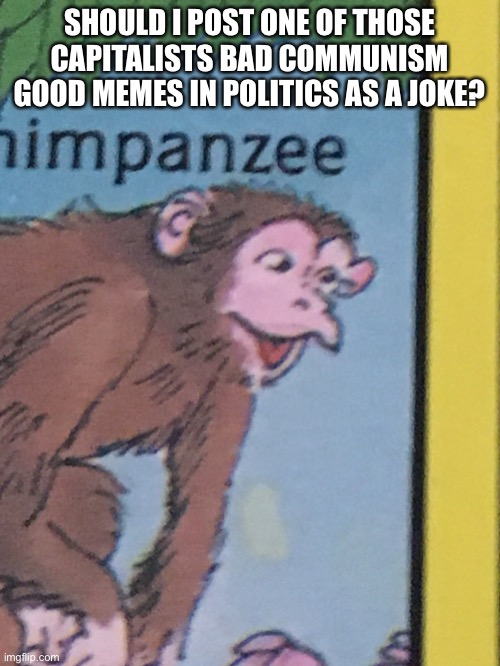 Chimpanzee pog | SHOULD I POST ONE OF THOSE CAPITALISTS BAD COMMUNISM GOOD MEMES IN POLITICS AS A JOKE? | image tagged in chimpanzee pog | made w/ Imgflip meme maker