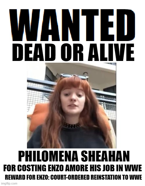 Wanted Dead or Alive | PHILOMENA SHEAHAN; FOR COSTING ENZO AMORE HIS JOB IN WWE; REWARD FOR ENZO: COURT-ORDERED REINSTATION TO WWE | image tagged in wanted dead or alive,wwe,sexual harassment,me too,memes | made w/ Imgflip meme maker
