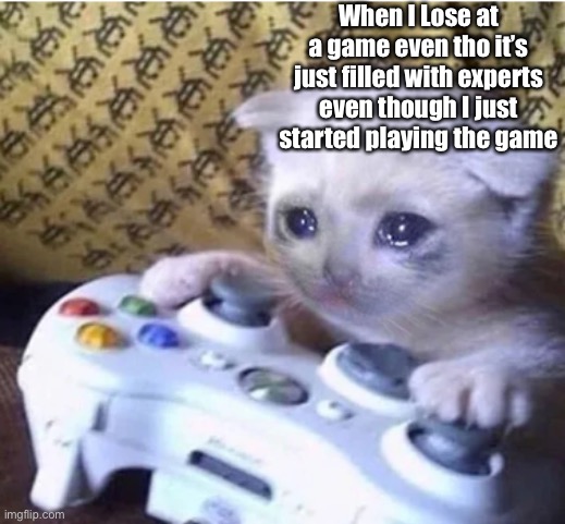 My loser face | When I Lose at a game even tho it’s just filled with experts even though I just started playing the game | image tagged in sad gaming cat | made w/ Imgflip meme maker