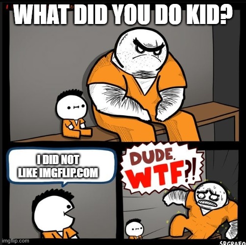 Srgrafo dude wtf | WHAT DID YOU DO KID? I DID NOT LIKE IMGFLIP.COM | image tagged in srgrafo dude wtf | made w/ Imgflip meme maker