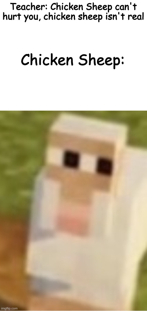 Teacher: Chicken Sheep can't hurt you, chicken sheep isn't real; Chicken Sheep: | image tagged in blank white template | made w/ Imgflip meme maker