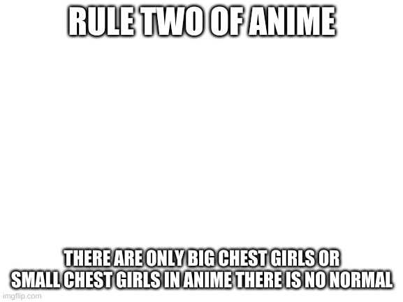 rules of anime #2 | RULE TWO OF ANIME; THERE ARE ONLY BIG CHEST GIRLS OR SMALL CHEST GIRLS IN ANIME THERE IS NO NORMAL | image tagged in blank white template,anime,rules of anime | made w/ Imgflip meme maker