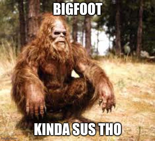 bigfoot | BIGFOOT KINDA SUS THO | image tagged in bigfoot | made w/ Imgflip meme maker