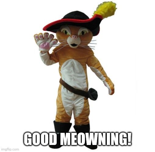 Good Meowning | GOOD MEOWNING! | image tagged in cat,soldier,costume,puss in boots,morning,meow | made w/ Imgflip meme maker