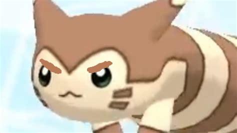 High Quality angry furret Blank Meme Template