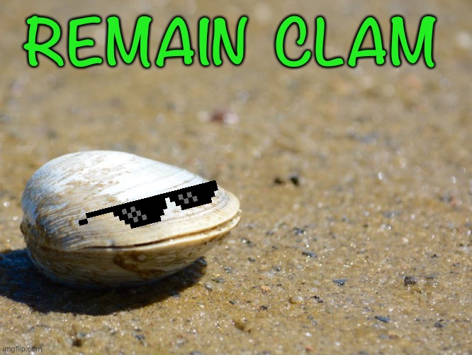 Better days ahead :-) | REMAIN  CLAM | image tagged in memes,clam,remain calm | made w/ Imgflip meme maker